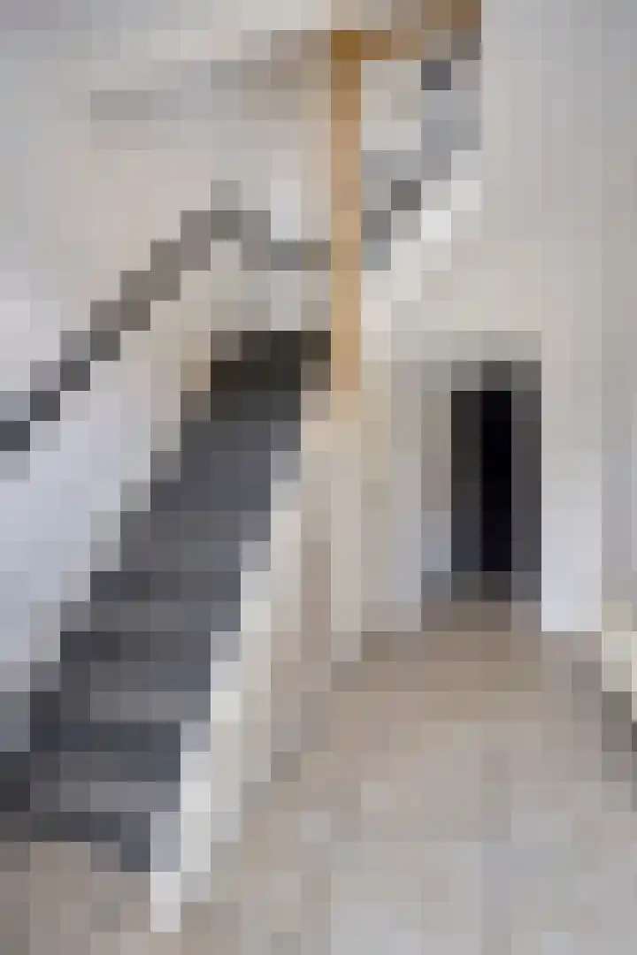 Kroppestraat 71 Swalmen thumbnail 19