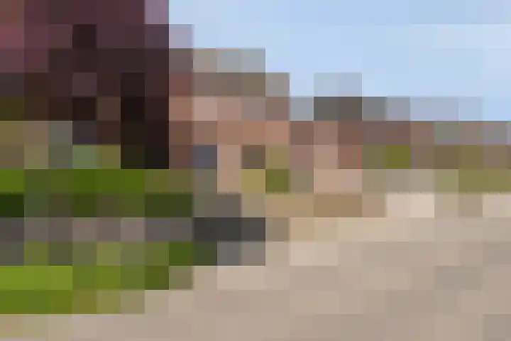 Kroppestraat 71 Swalmen thumbnail 5