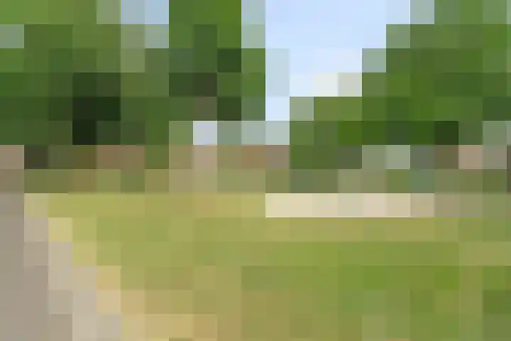 Kroppestraat 71 Swalmen thumbnail 50