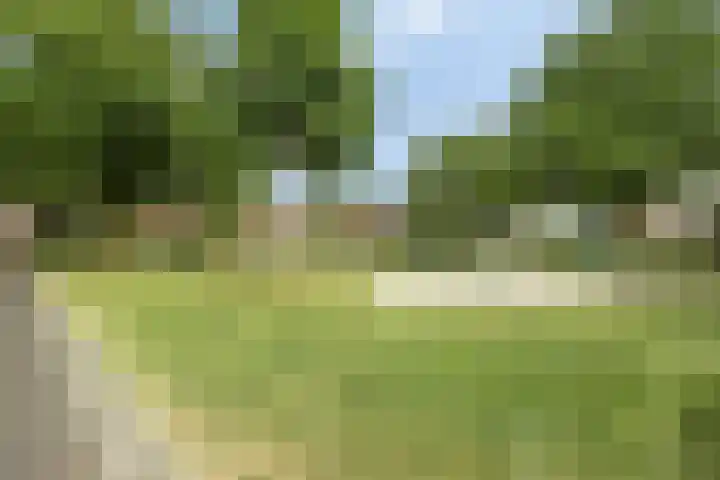 Kroppestraat 71 Swalmen thumbnail 51