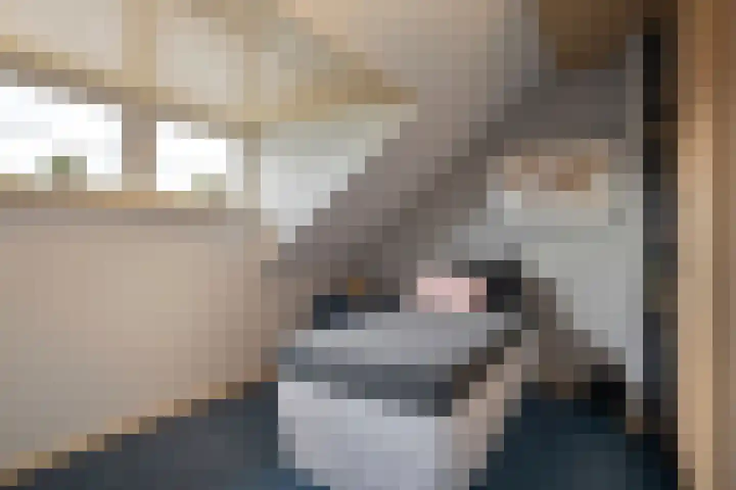 Kruburg 72 Eindhoven thumbnail 23
