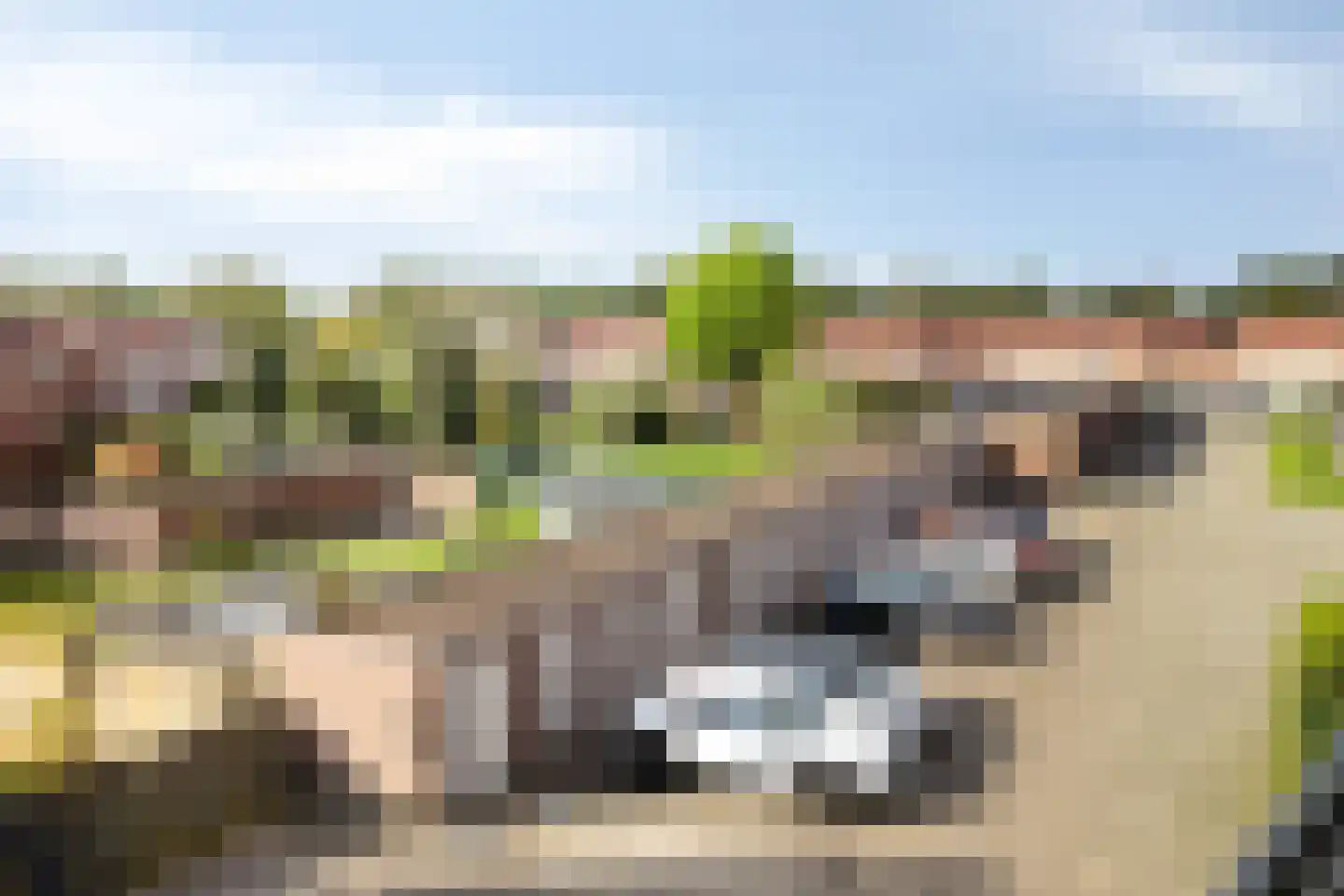 Kruchterhoek 15 Maasbracht thumbnail 39