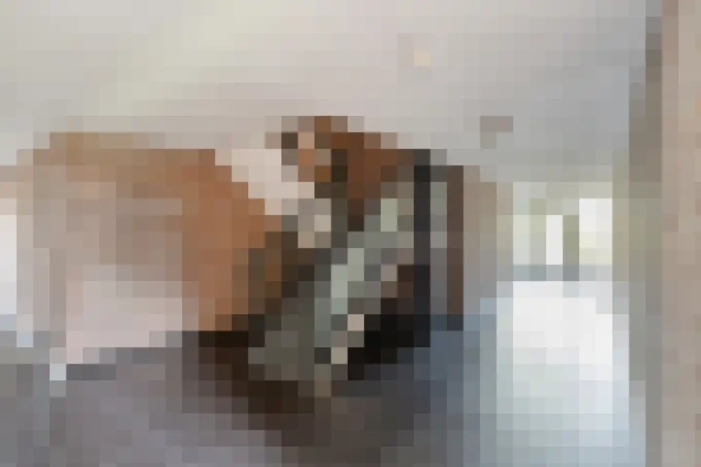 Kruchterhoek 15 Maasbracht thumbnail 7