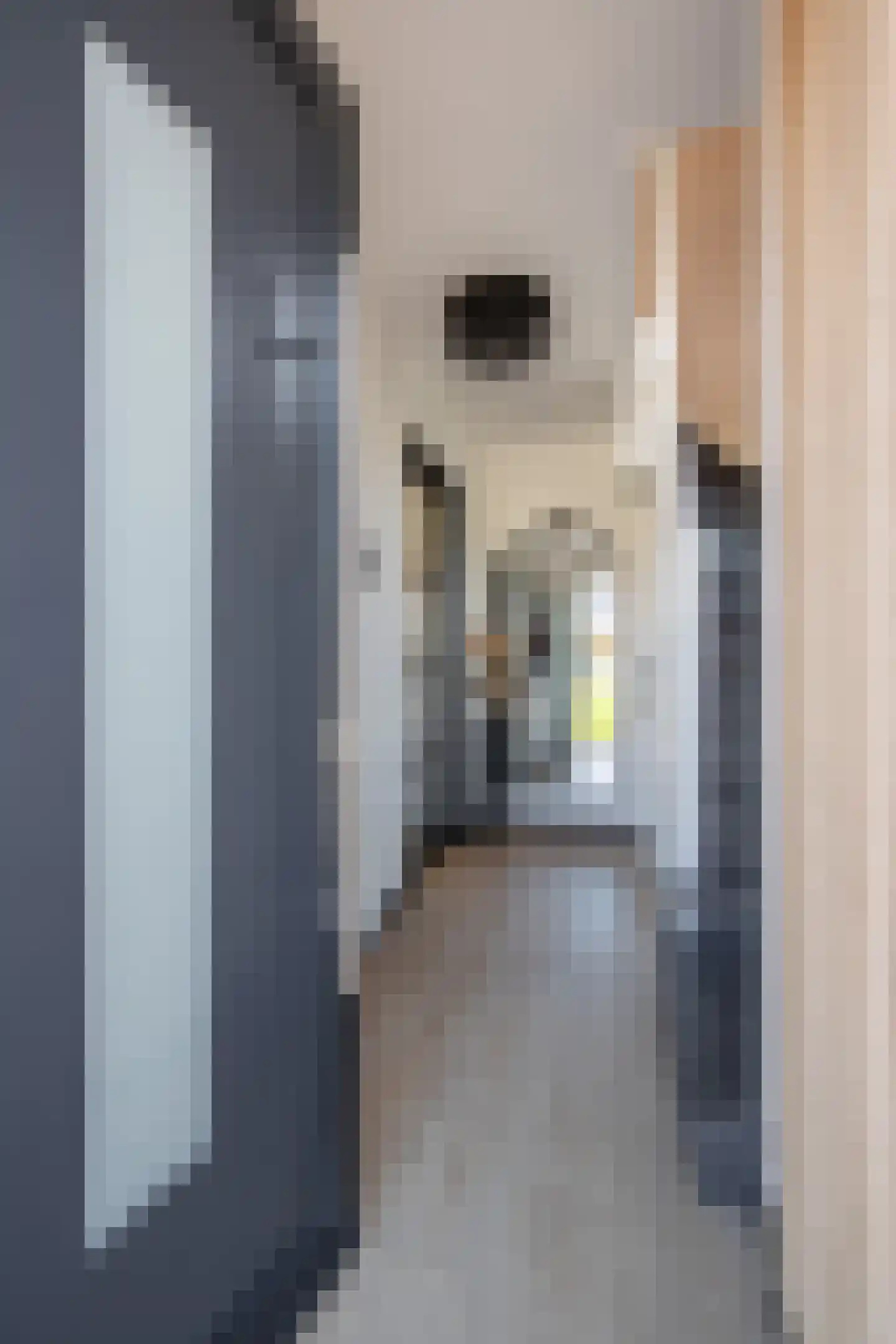 Kruchterstraat 10 Maasbracht thumbnail 6
