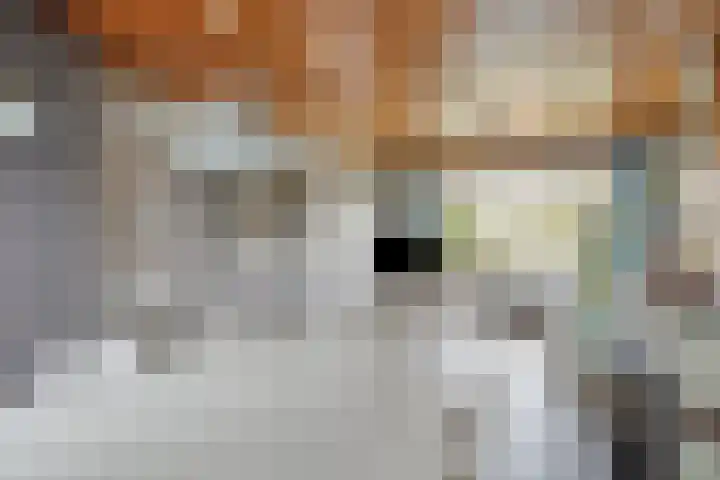 Kruchterstraat 32 Maasbracht thumbnail 14