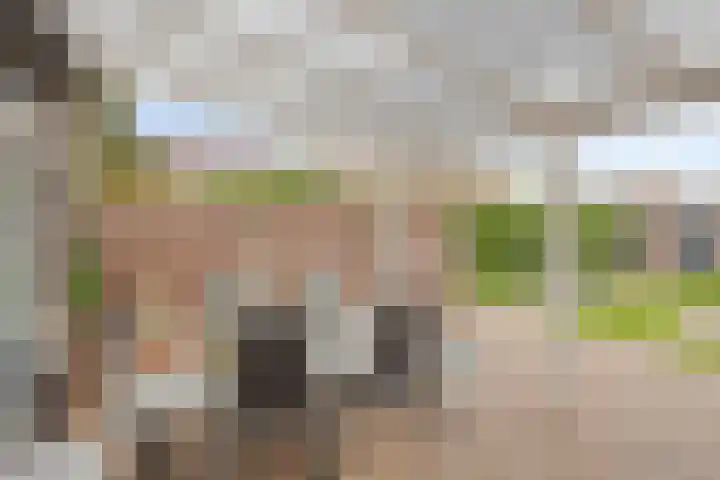 Kruchterstraat 32 Maasbracht thumbnail 6