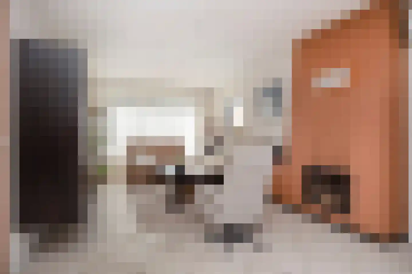 Kruchterstraat 41 Maasbracht thumbnail 11