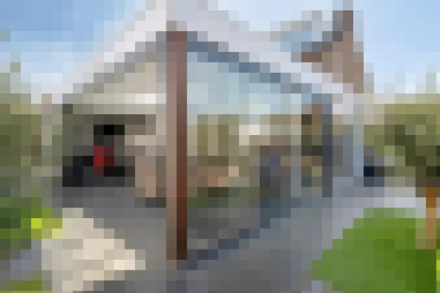 Kruchterstraat 41 Maasbracht thumbnail 21