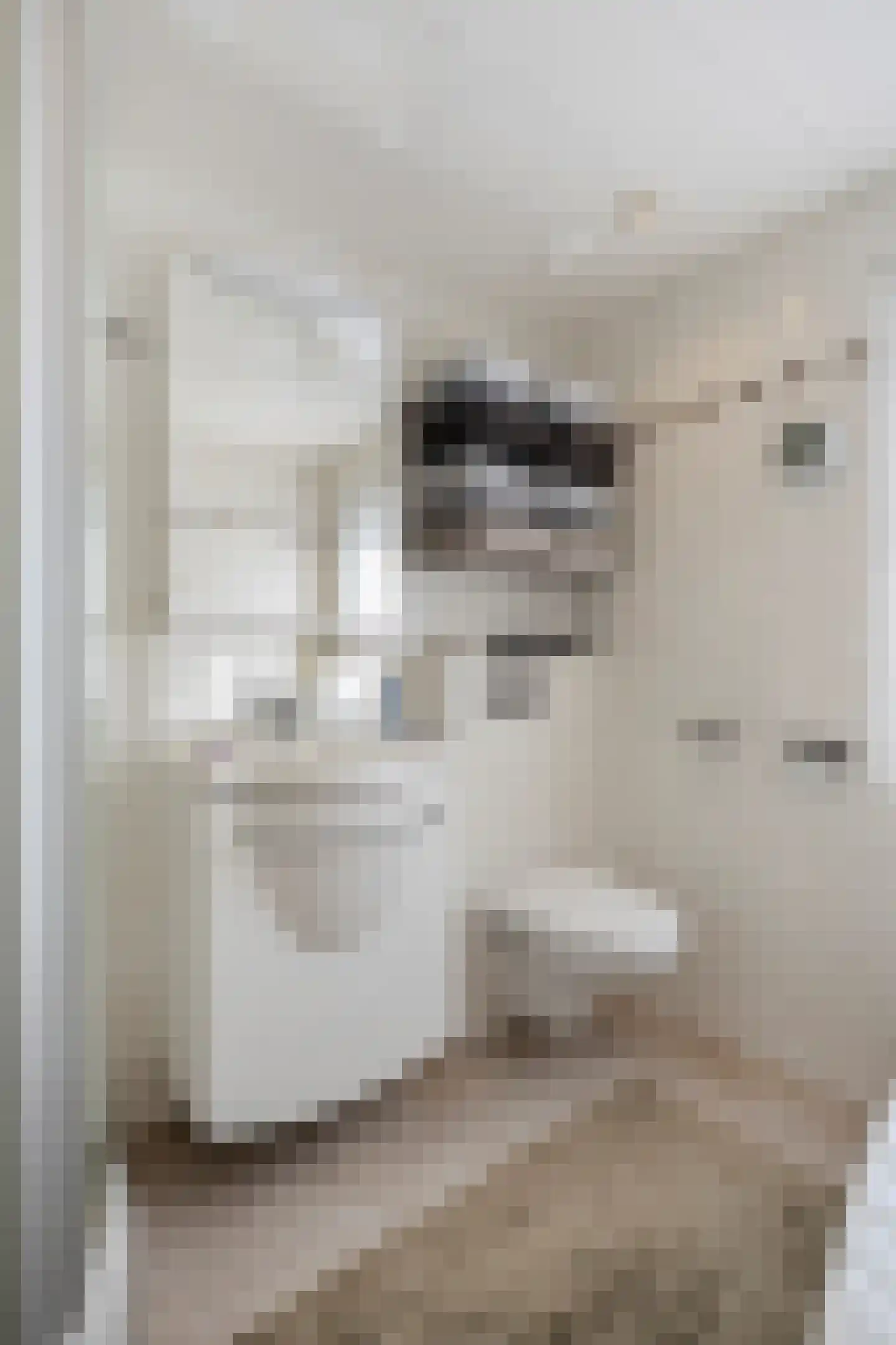 Kruchterstraat 41 Maasbracht thumbnail 31