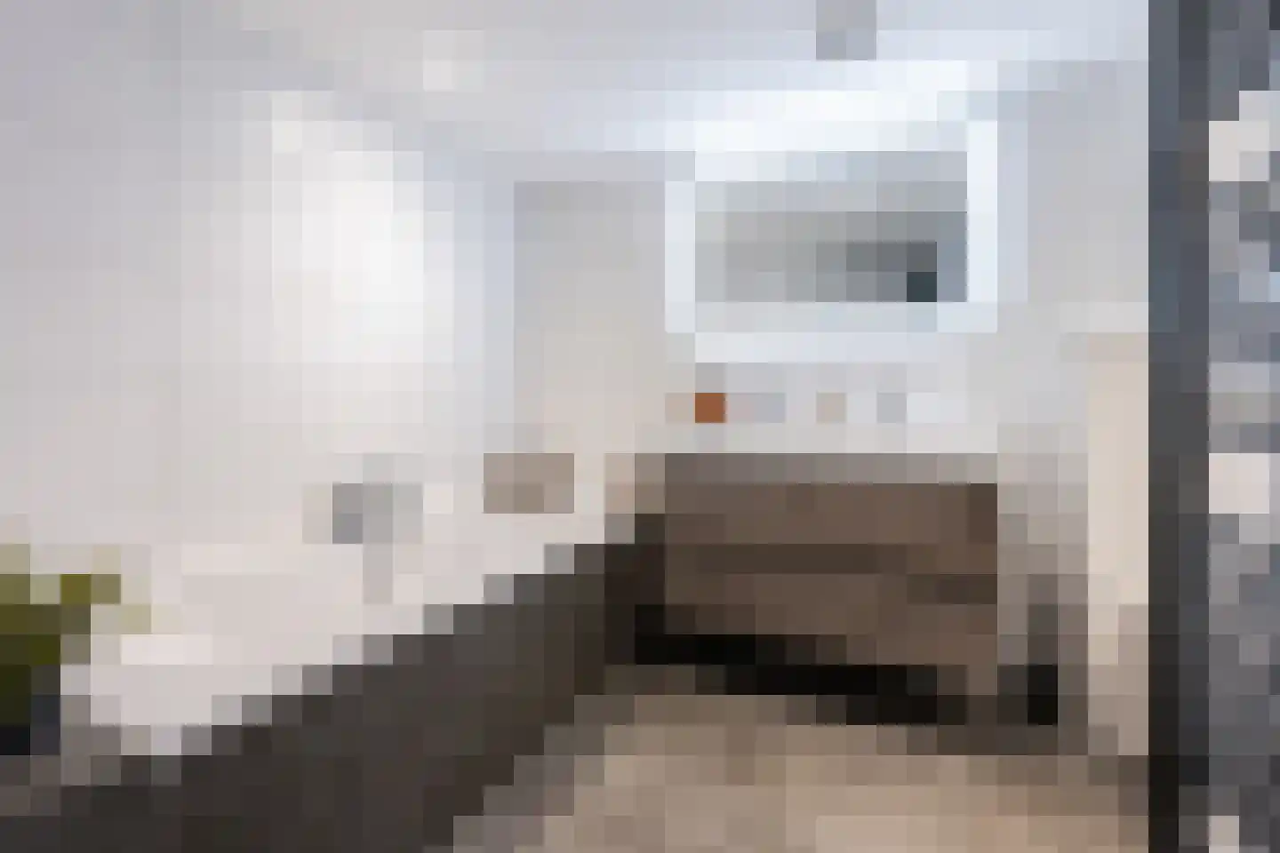 Krugerlaan 12 Zeist thumbnail 17