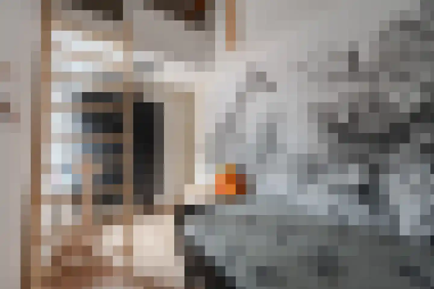 Krugerlaan 12 Zeist thumbnail 21