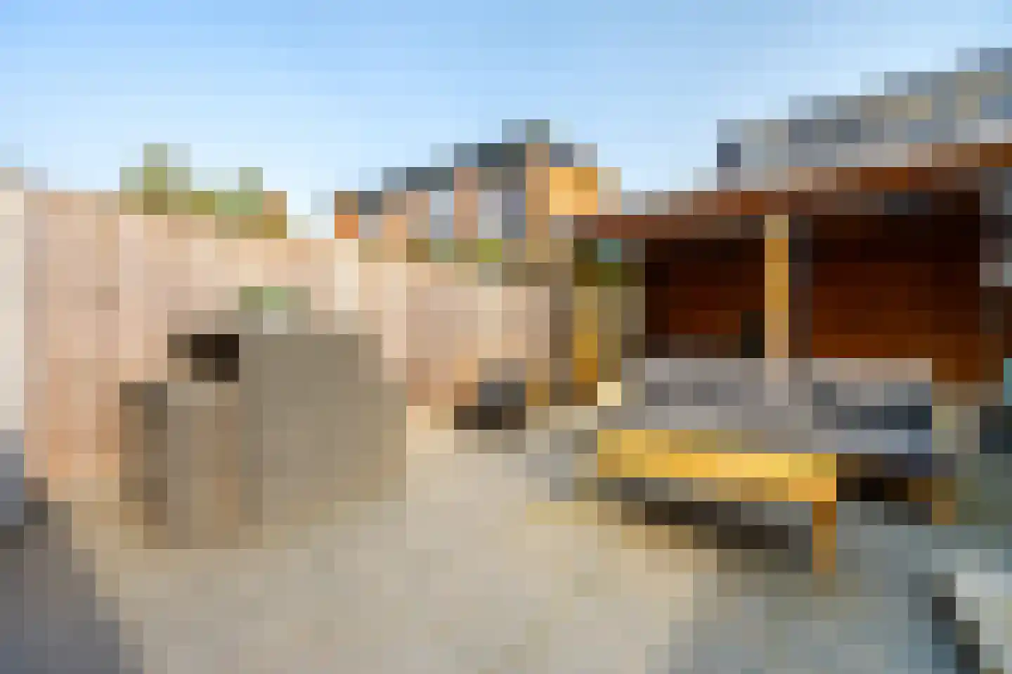Krugerlaan 12 Zeist thumbnail 25