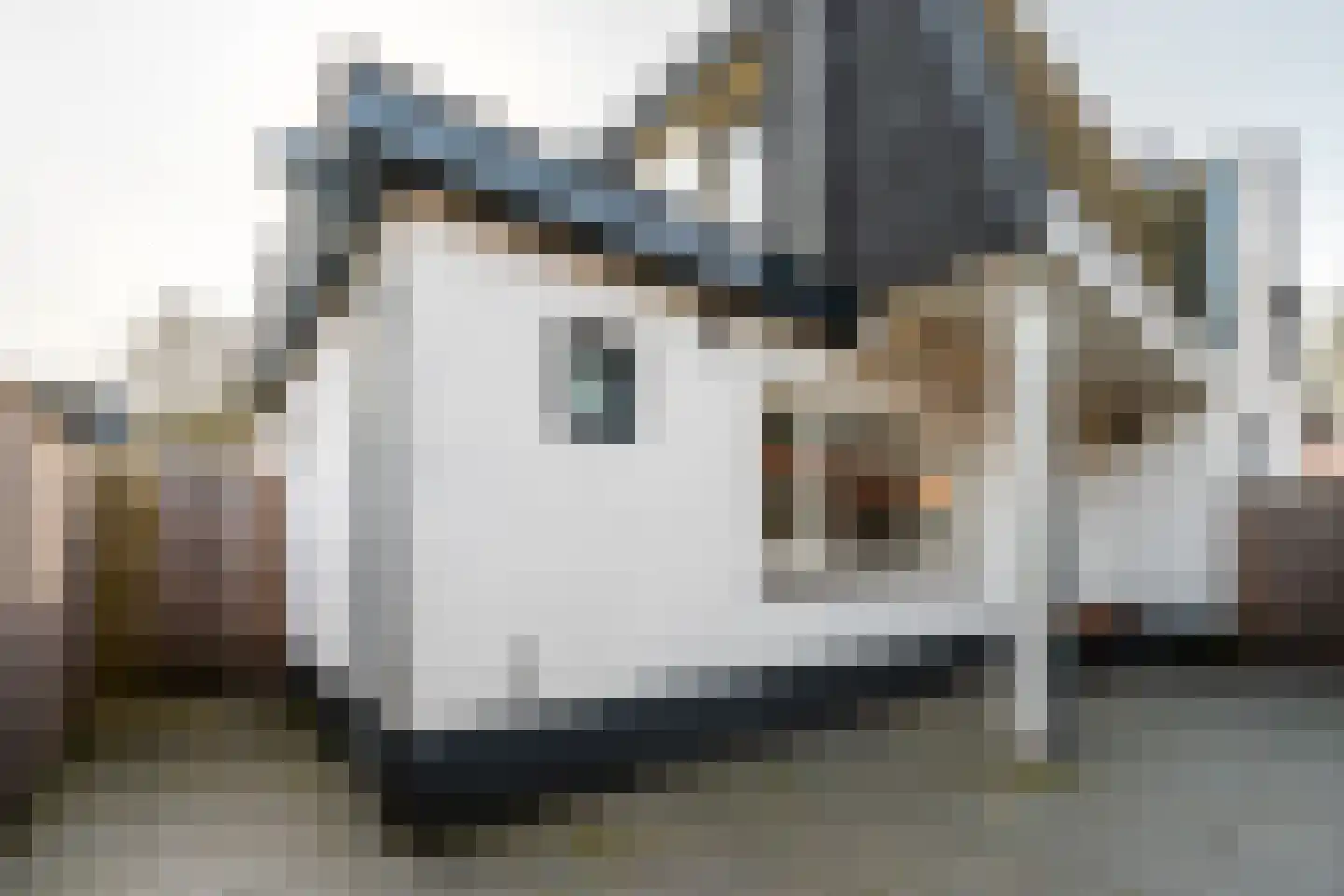 Krugerlaan 12 Zeist thumbnail 32