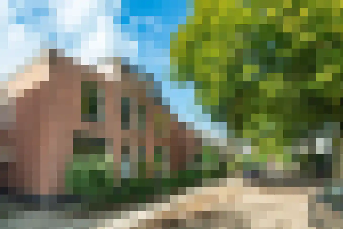 Krugerlaan 13 Zeist thumbnail 25