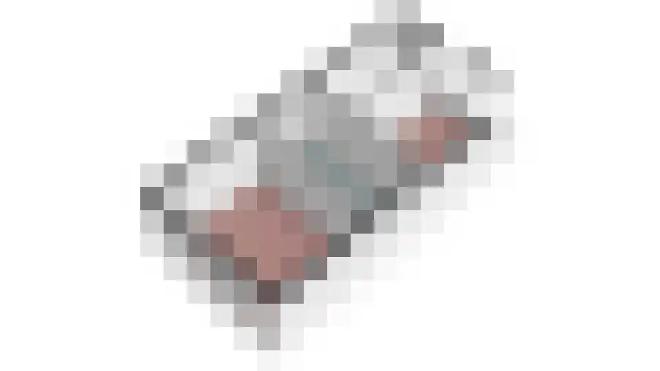 Krugerlaan 13 Zeist thumbnail 34