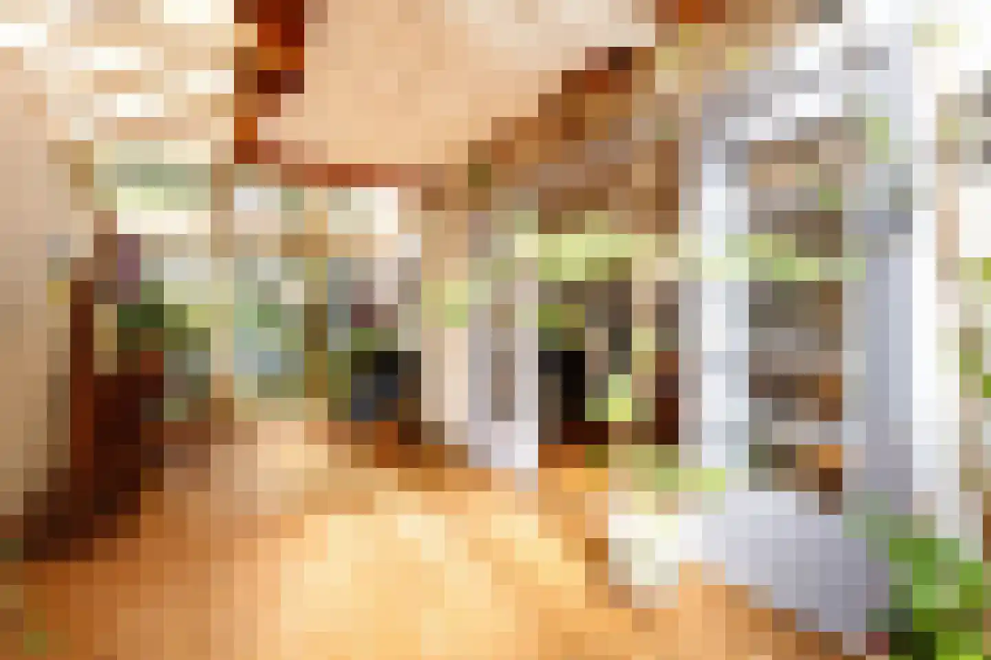 Krugerlaan 131 Gouda thumbnail 16