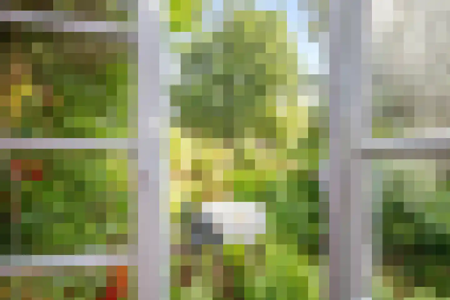 Krugerlaan 131 Gouda thumbnail 19