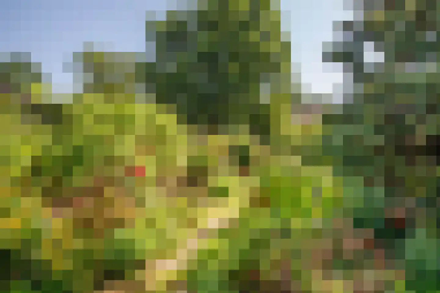 Krugerlaan 131 Gouda thumbnail 35