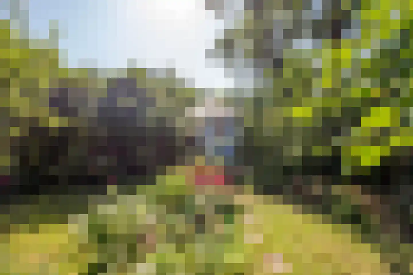 Krugerlaan 131 Gouda thumbnail 37