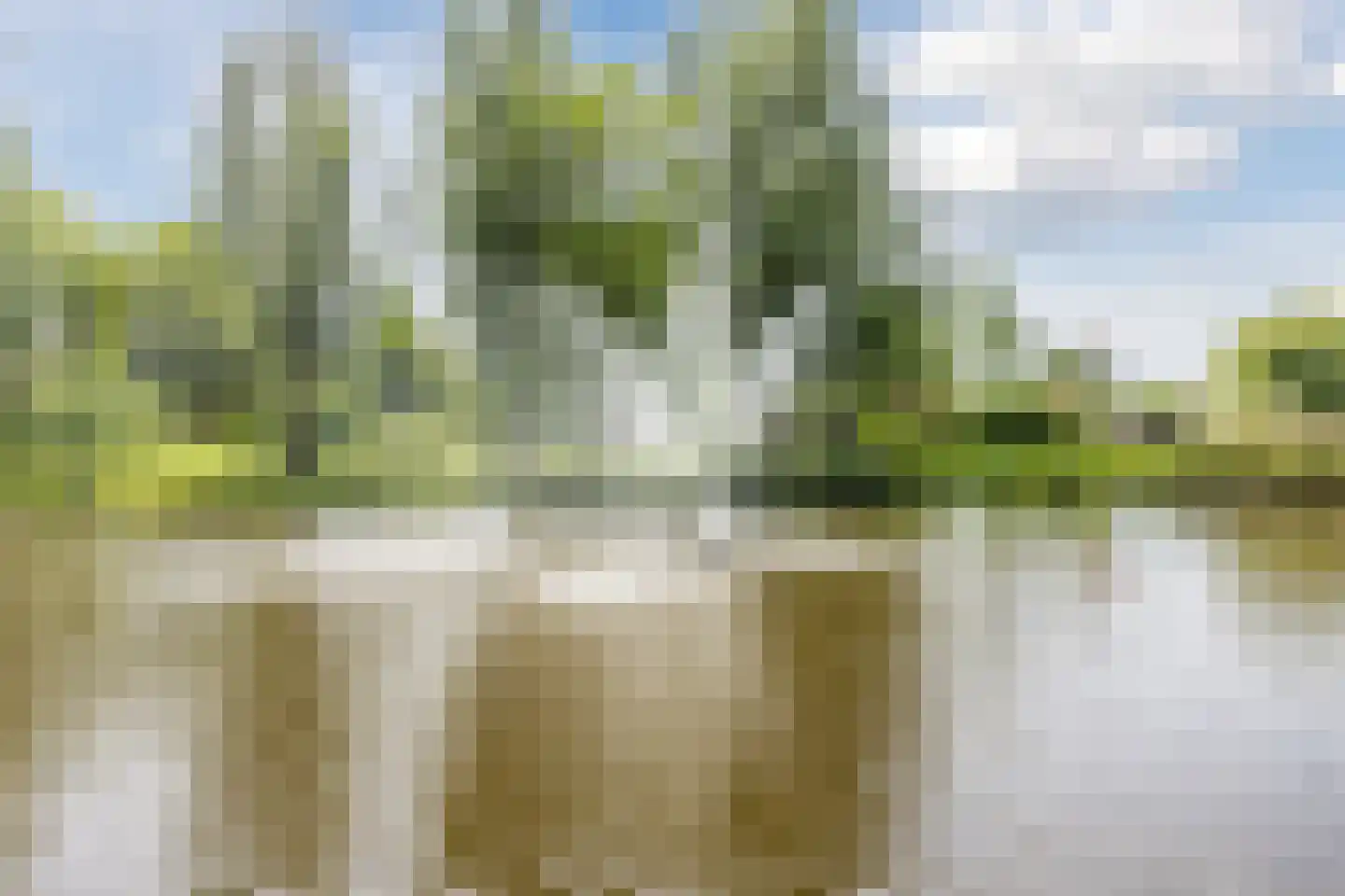 Krugerlaan 15 b Berkel en Rodenrijs thumbnail 24