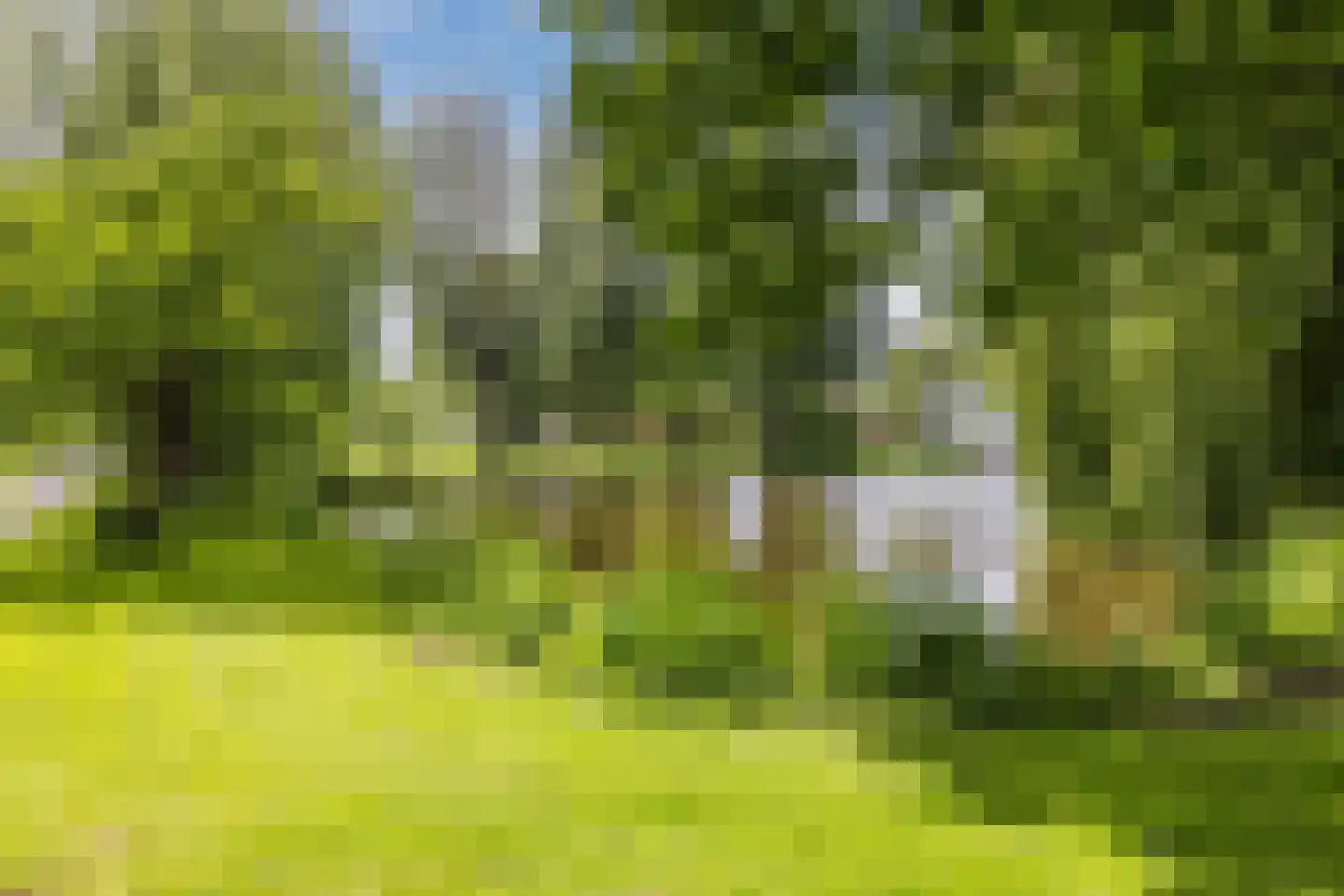 Krugerlaan 15 b Berkel en Rodenrijs thumbnail 27