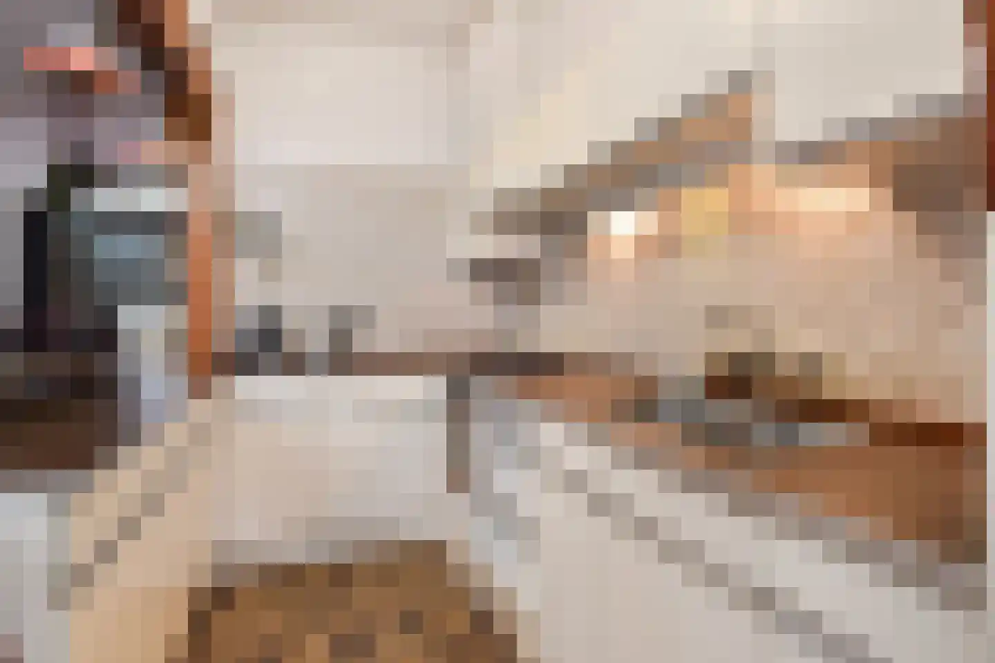 Krugerlaan 193 Gouda thumbnail 12
