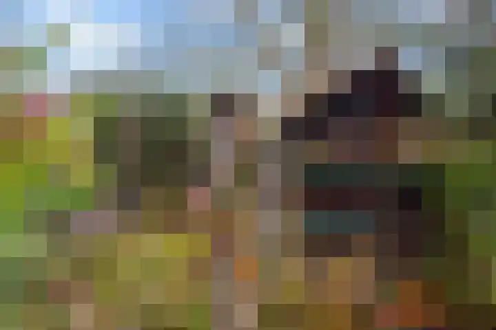 Krugerlaan 193 Gouda thumbnail 32