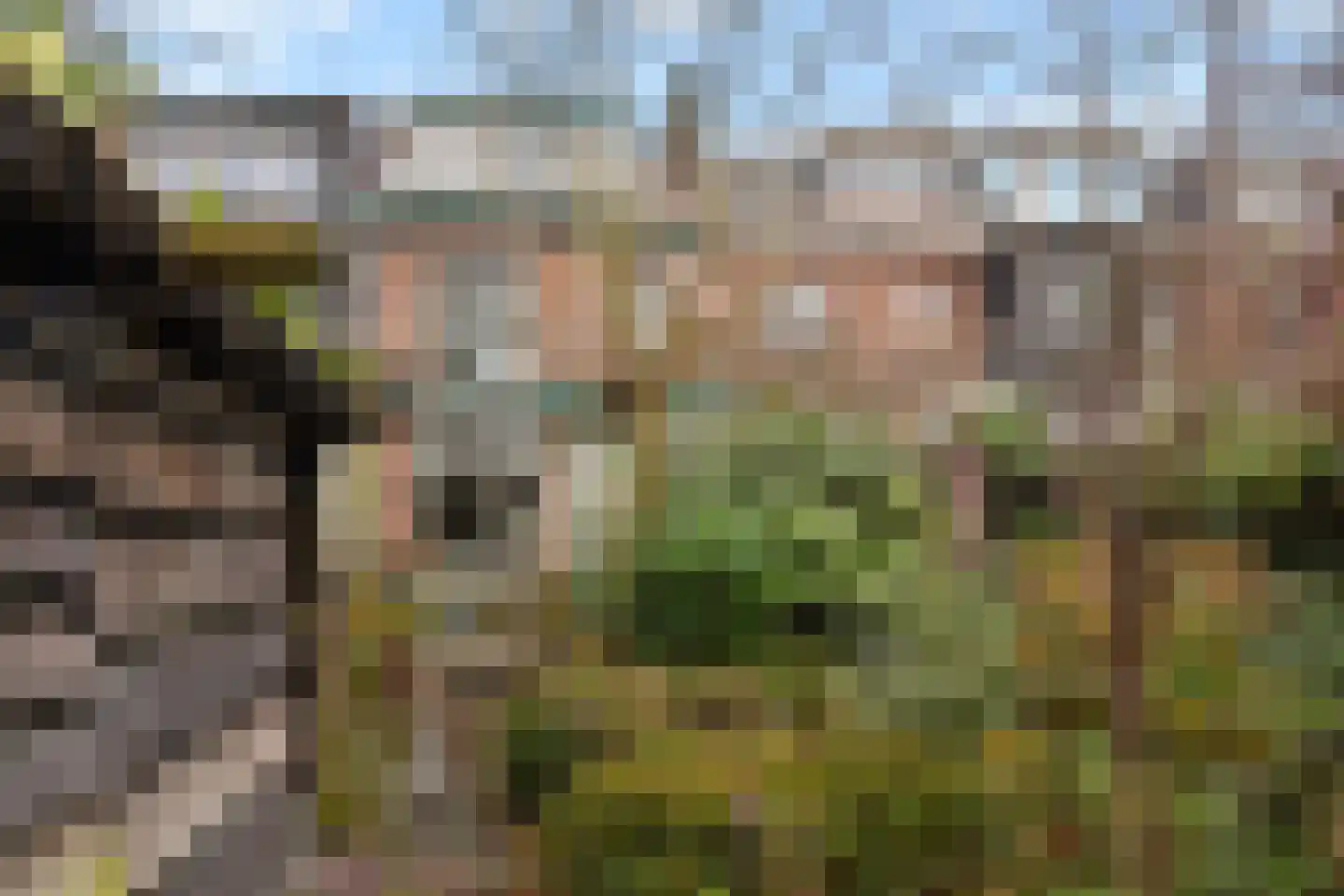 Krugerlaan 193 Gouda thumbnail 33