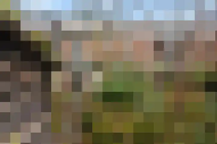 Krugerlaan 193 Gouda thumbnail 33