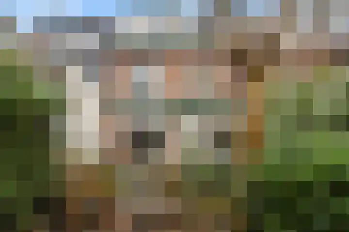 Krugerlaan 193 Gouda thumbnail 34