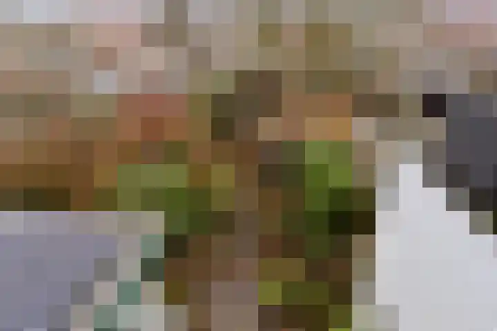 Krugerlaan 193 Gouda thumbnail 4