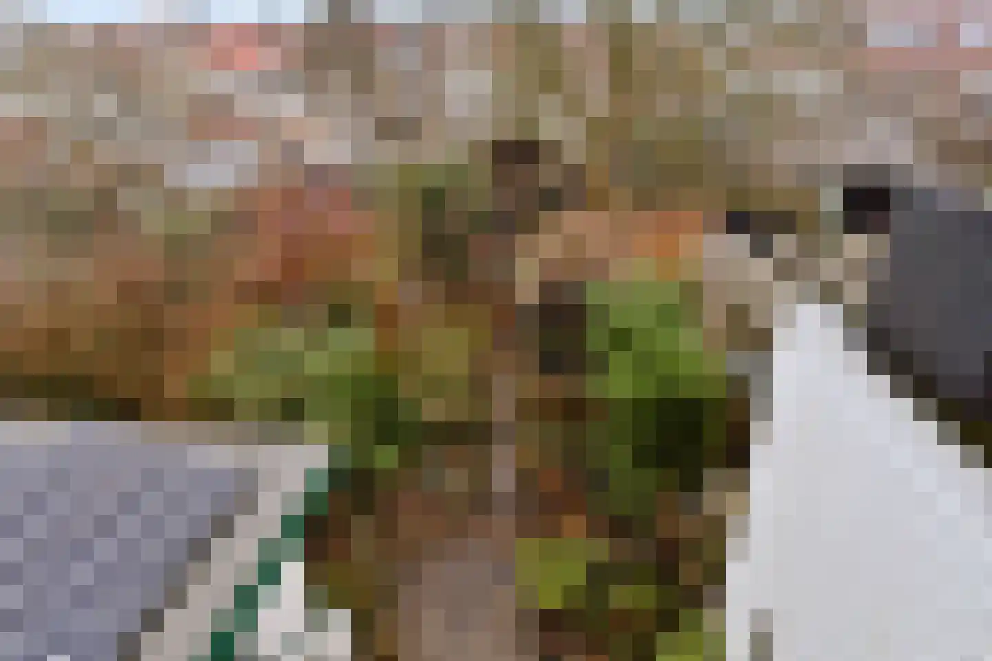 Krugerlaan 193 Gouda thumbnail 4