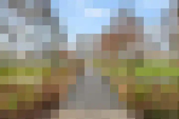 Krugerlaan 193 Gouda thumbnail 45