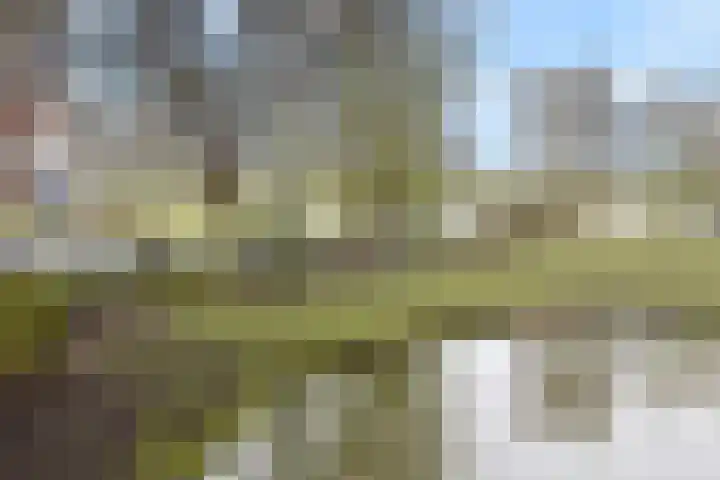 Krugerlaan 193 Gouda thumbnail 46