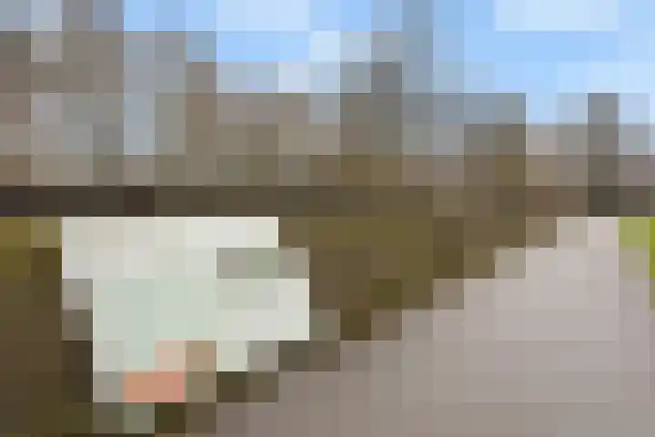 Krugerlaan 193 Gouda thumbnail 49