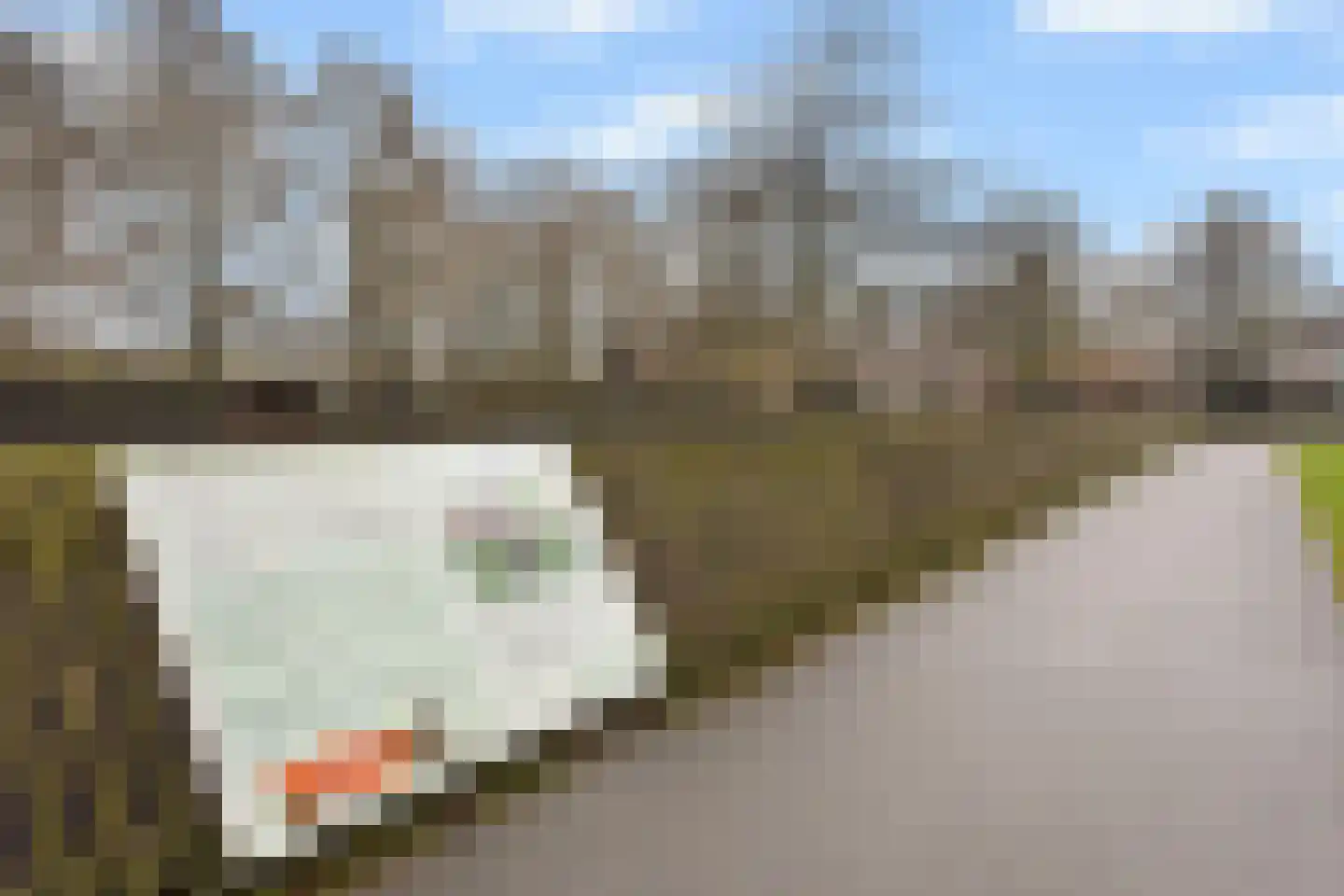 Krugerlaan 193 Gouda thumbnail 49