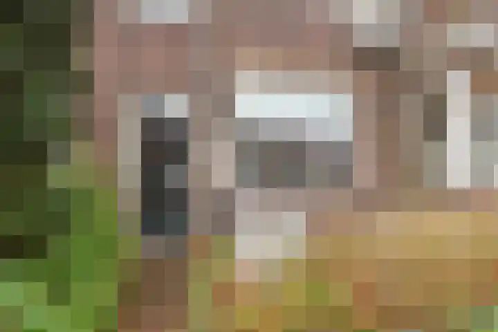 Krugerlaan 193 Gouda thumbnail 5