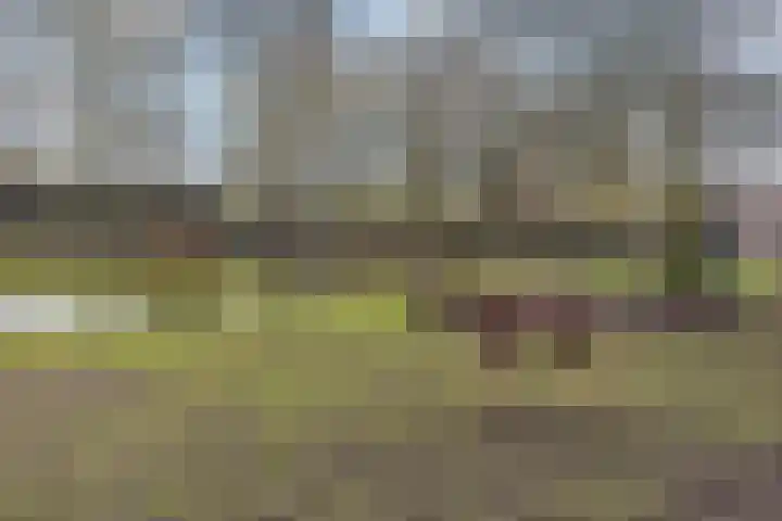 Krugerlaan 193 Gouda thumbnail 50