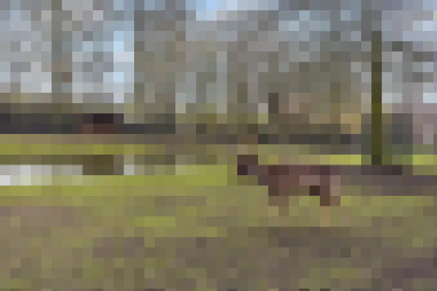 Krugerlaan 193 Gouda thumbnail 50