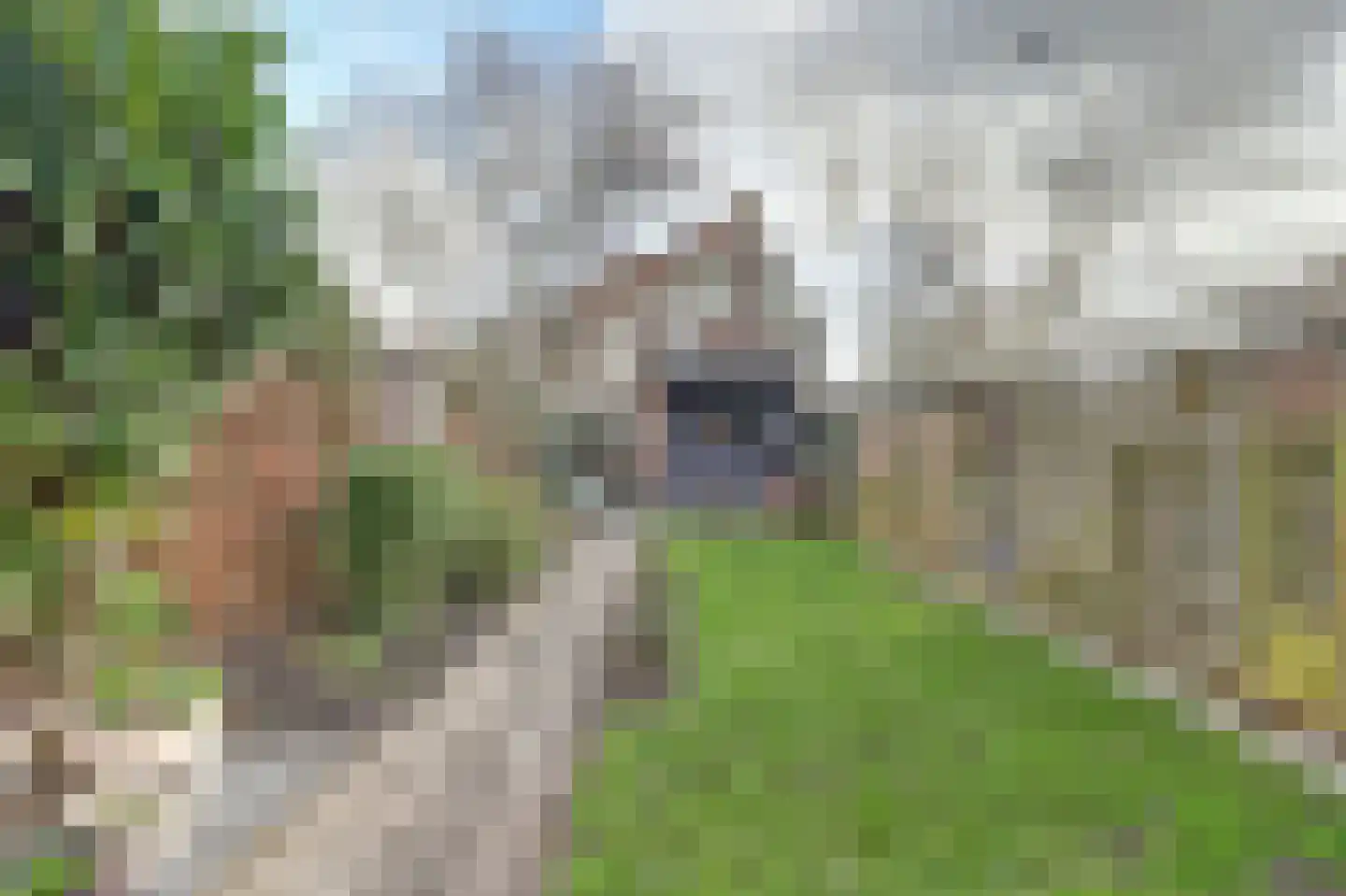 Krugerlaan 205 Gouda thumbnail 30