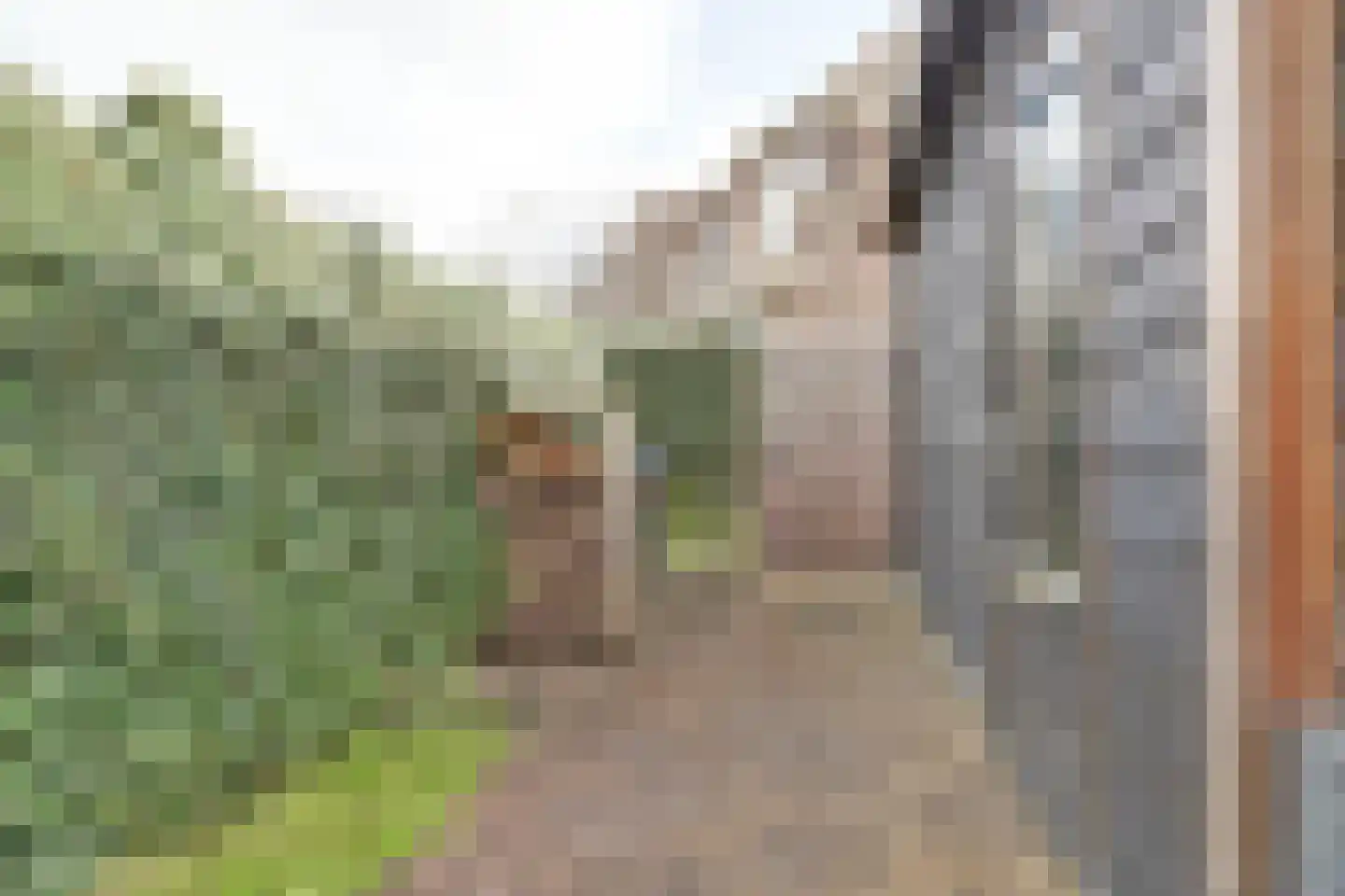 Krugerlaan 205 Gouda thumbnail 34