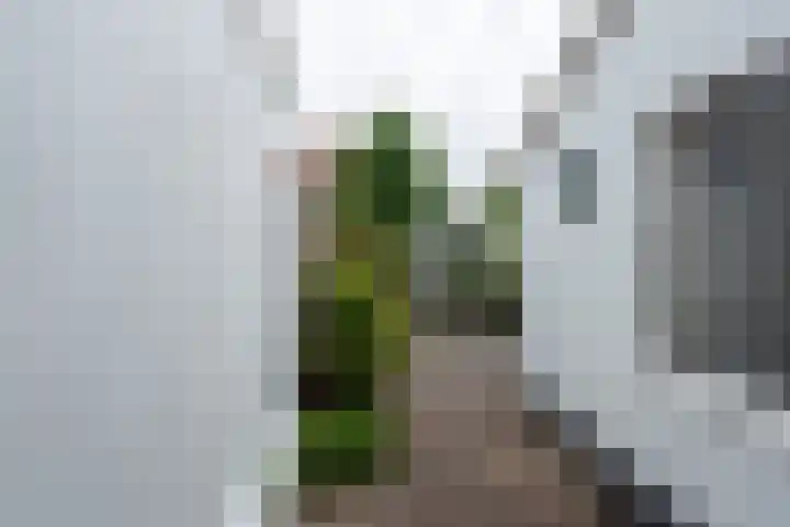 Krugerlaan 28 Zeist thumbnail 17