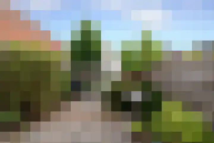 Krugerlaan 28 Zeist thumbnail 18