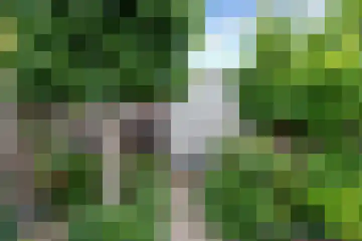 Krugerlaan 28 Zeist thumbnail 19