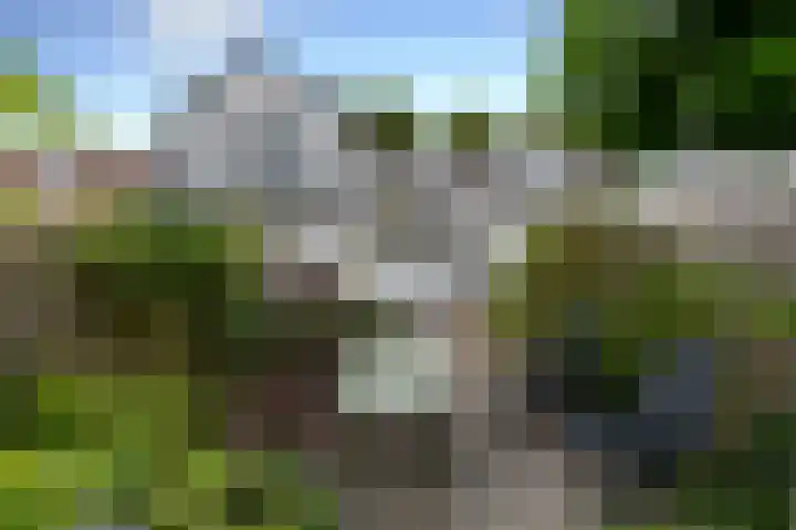 Krugerlaan 28 Zeist thumbnail 20