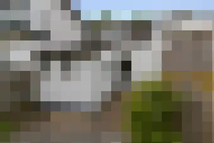 Krugerlaan 28 Zeist thumbnail 21