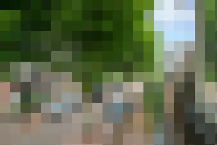 Krugerlaan 28 Zeist thumbnail 23