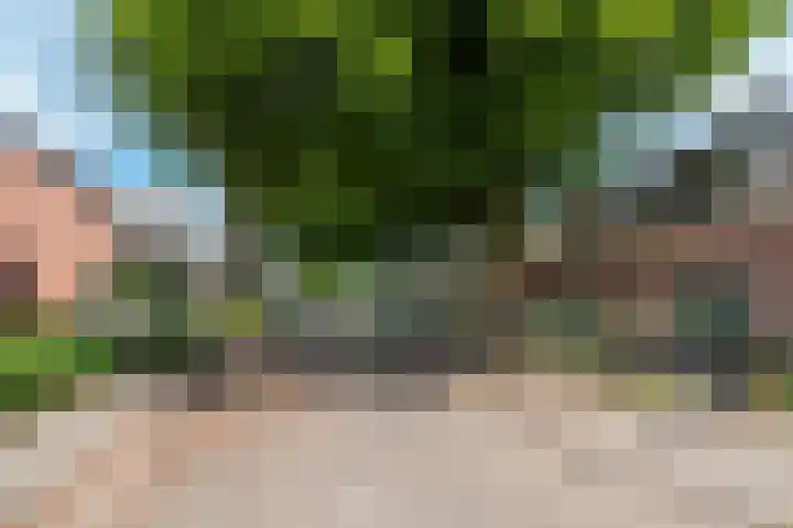 Krugerlaan 28 Zeist thumbnail 7