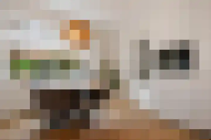 Krugerlaan 36 Zeist thumbnail 16