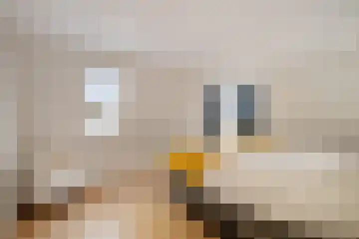 Krugerlaan 36 Zeist thumbnail 25